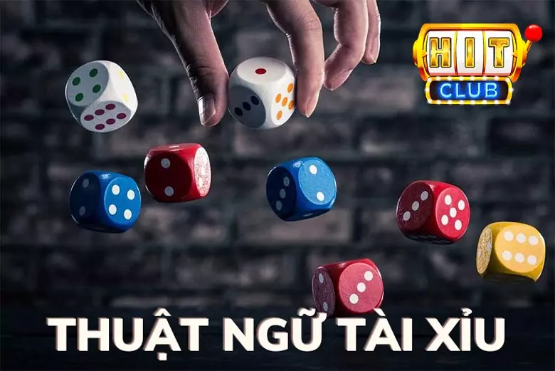 Thuật ngữ quan trọng khi chơi tài xỉu online